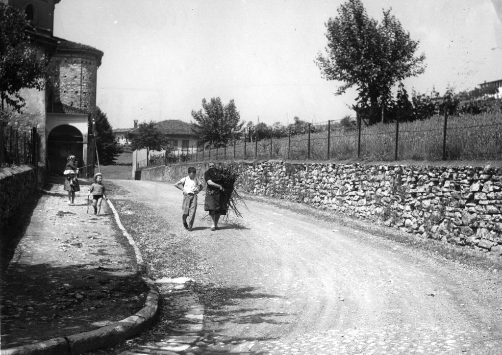 Raccolta Legna A Cenate Sopra · Historify