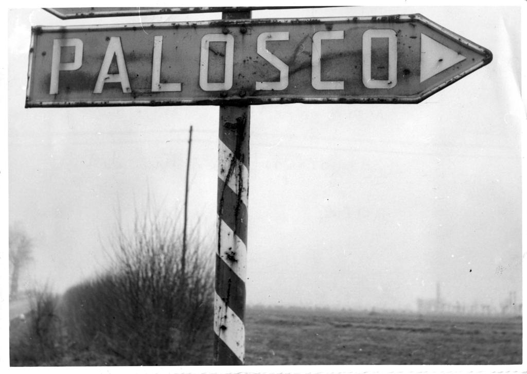 Cartello stradale Palosco · Historify