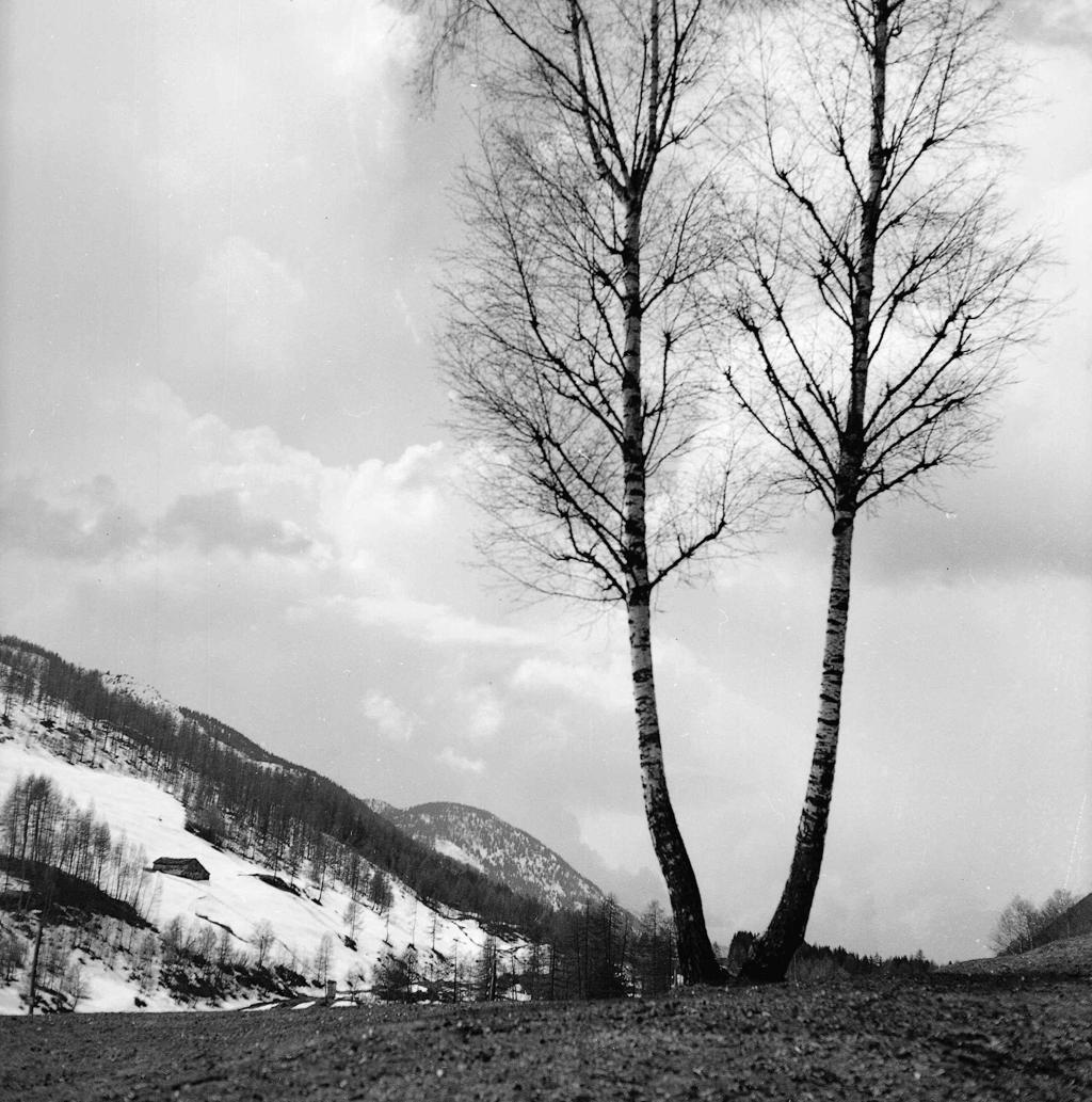 Panorama montano · Historify