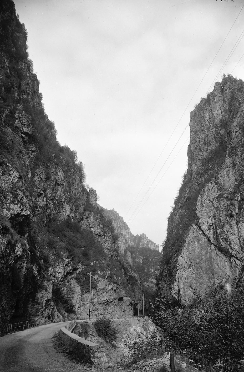 Strada nella natura · Historify