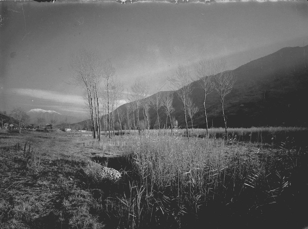 Paesaggio · Historify