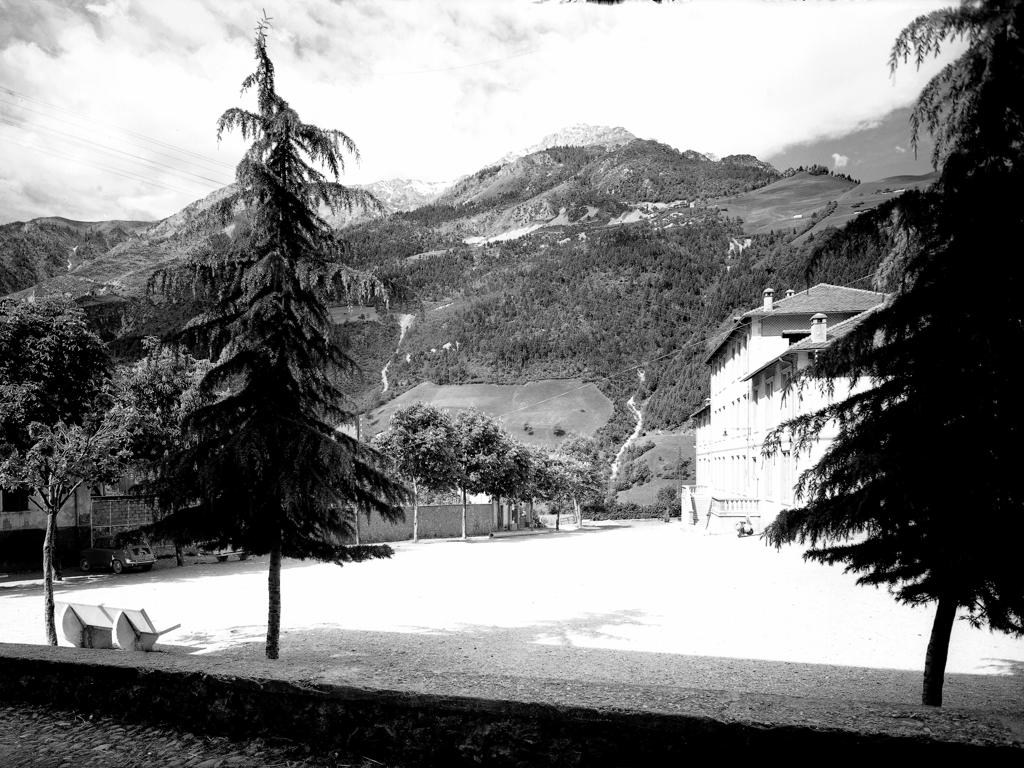Alberi, Casa, Montagne Sullo Sfondo · Historify