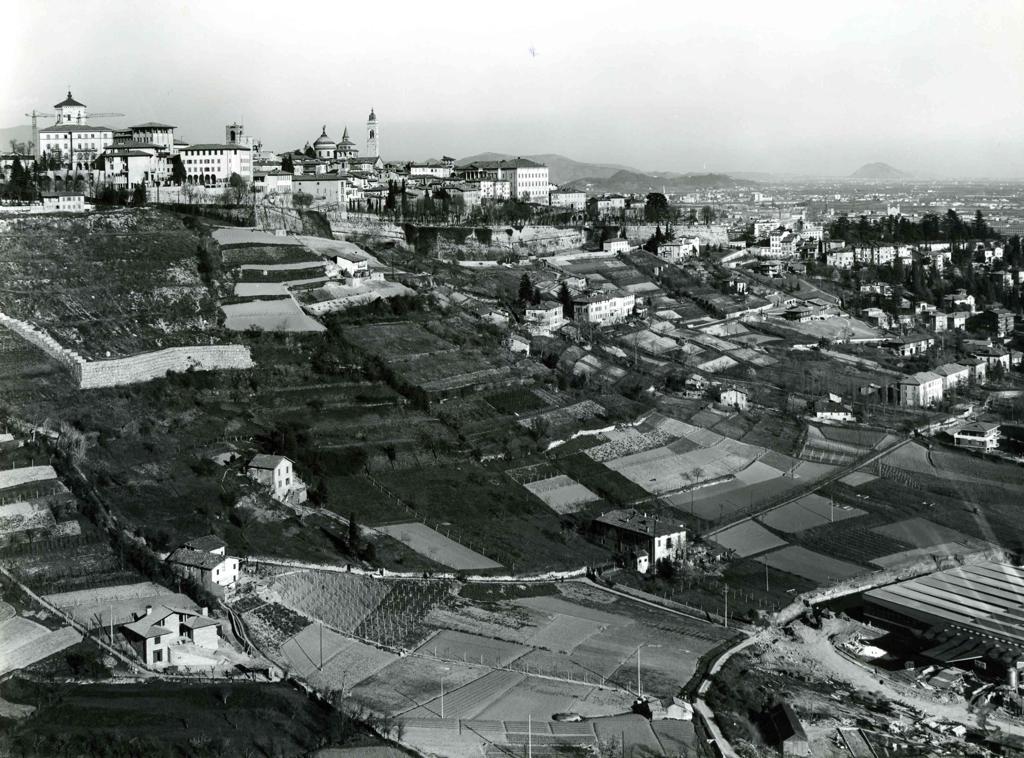 Campi Ai Piedi Di Città Alta · Historify