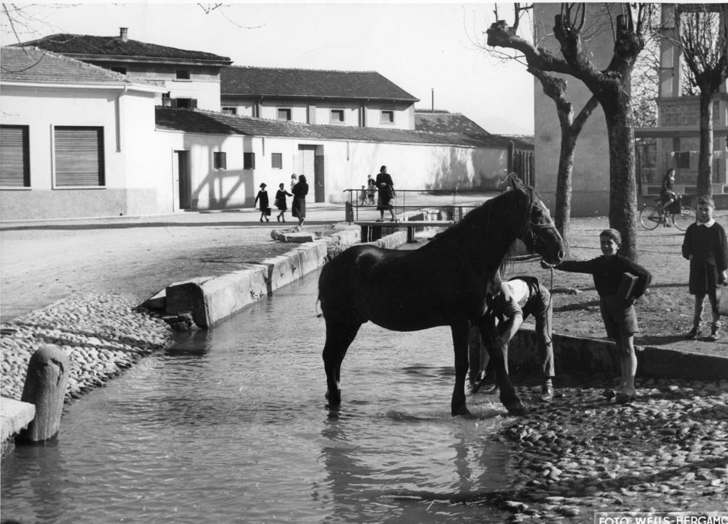 Cavallo · Historify