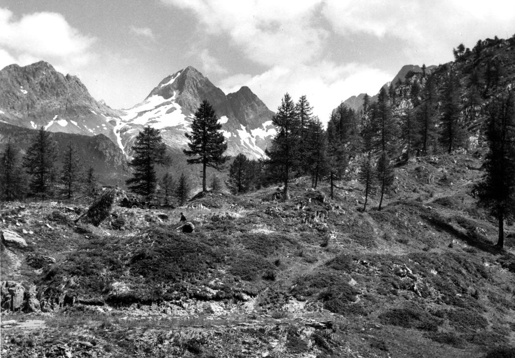 Rifugio Fratelli Calvi · Historify