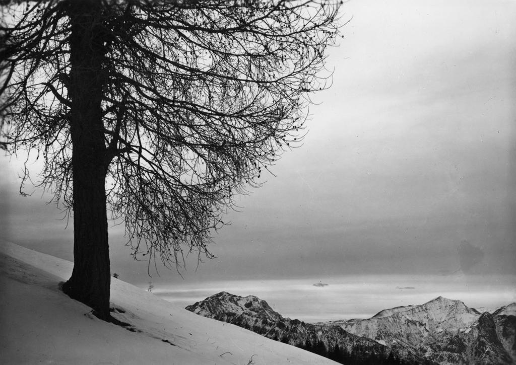 Paesaggio Innevato · Historify