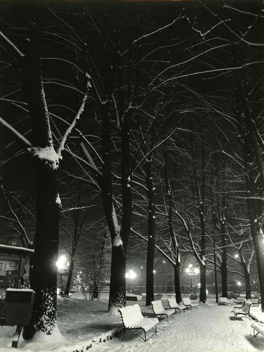 Panchine Innevate · Historify