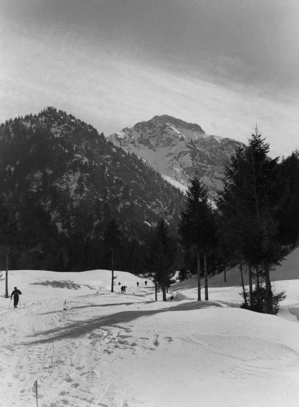 Montagne Innevate · Historify