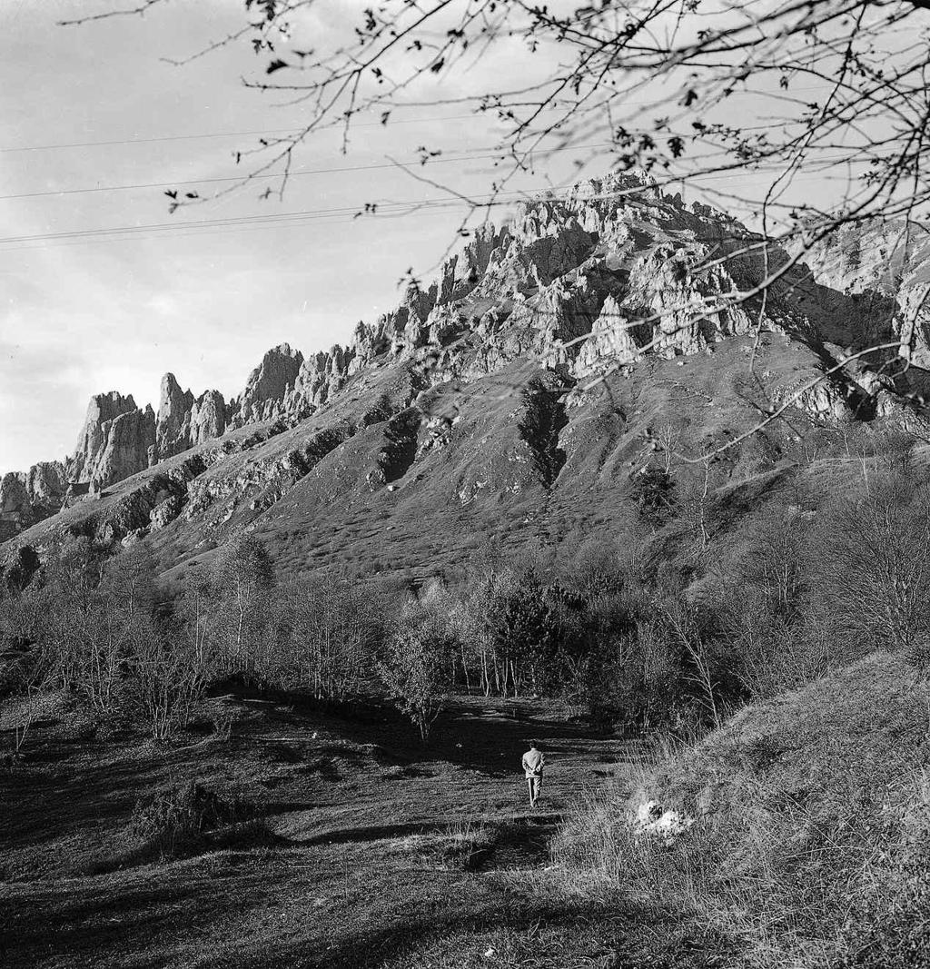 Cime Rocciose · Historify