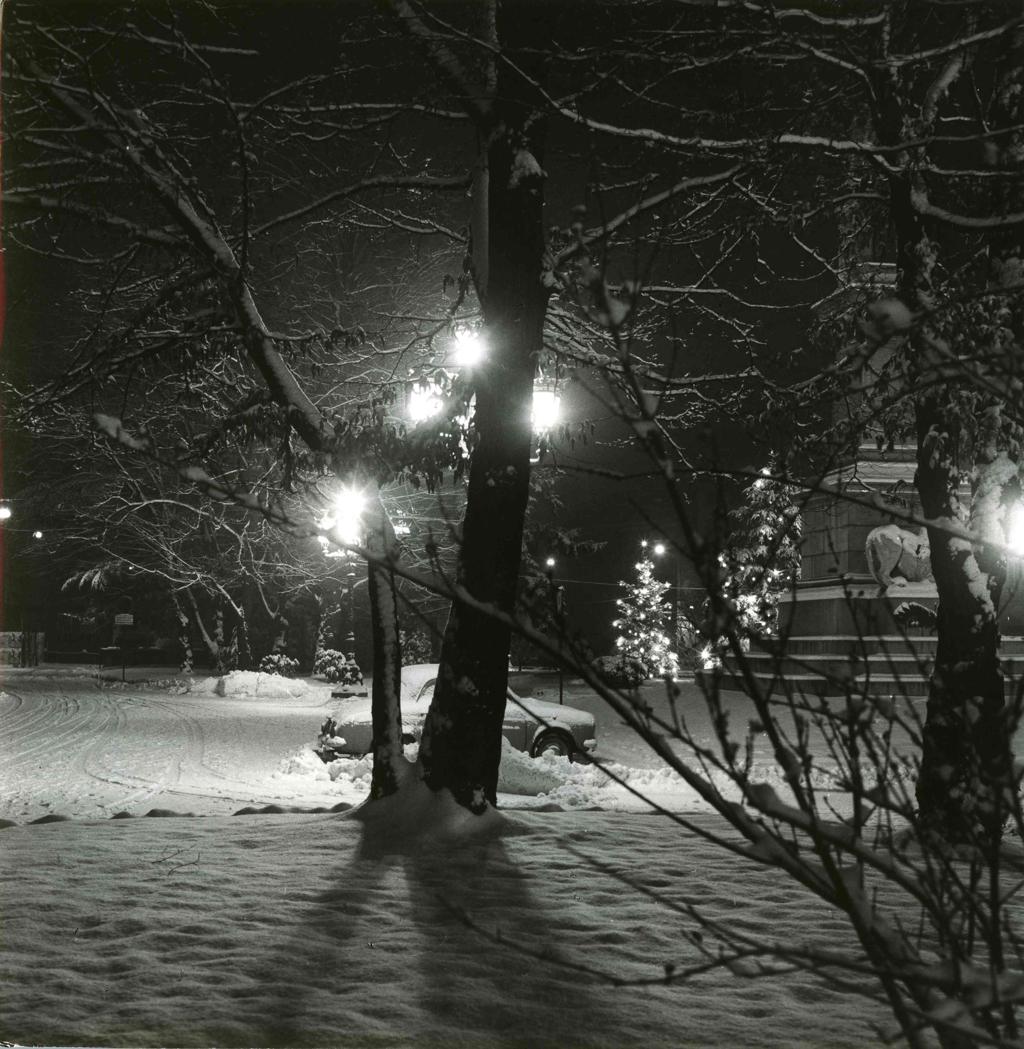 Bergamo In Bianco · Historify