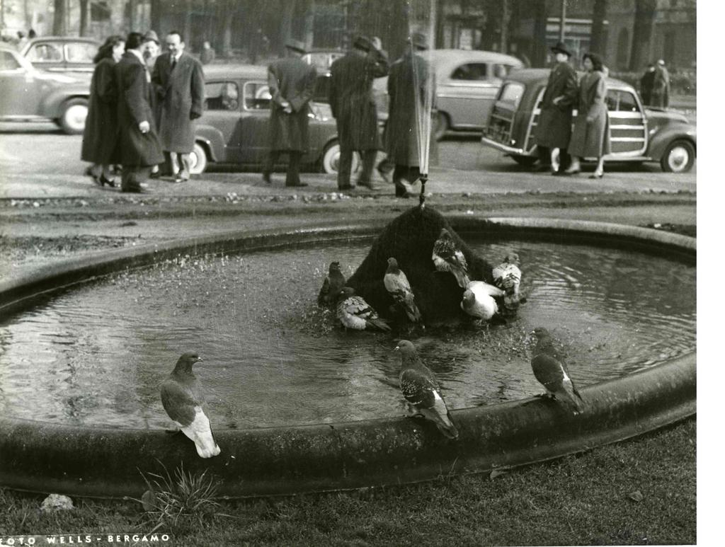 Fontana In Città · Historify