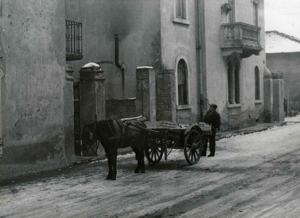 Il carretto del fruttivendolo · Historify