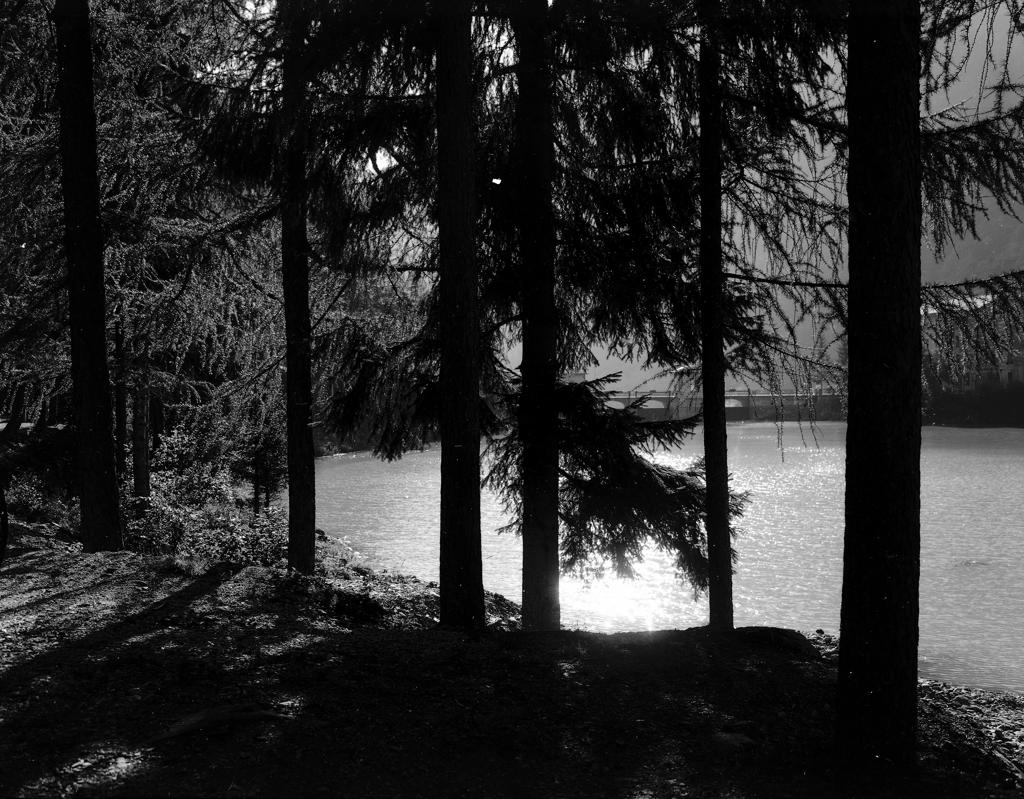 Lago Di Carona · Historify