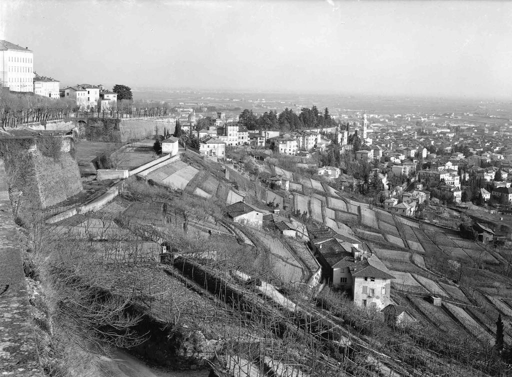 Campi Sotto Le Mura · Historify