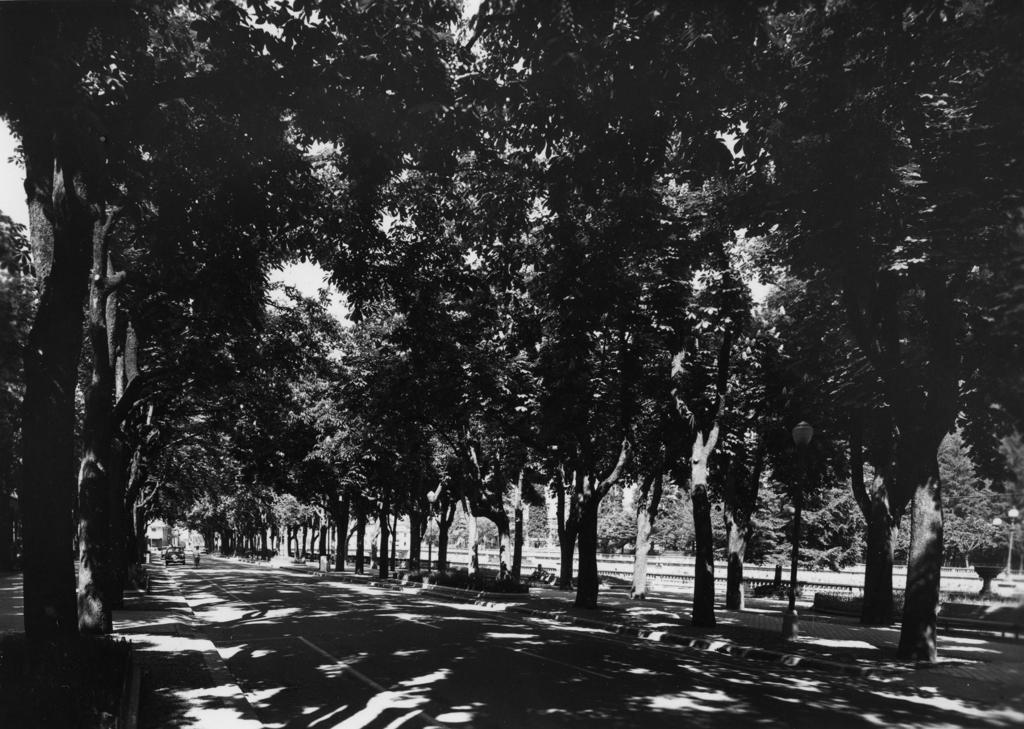 Viale, San Pellegrino Terme · Historify