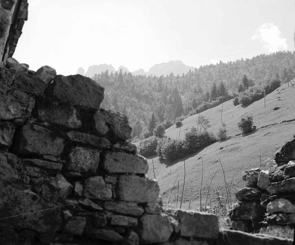 Pineta – Muro In Pietra In Primo Piano · Historify