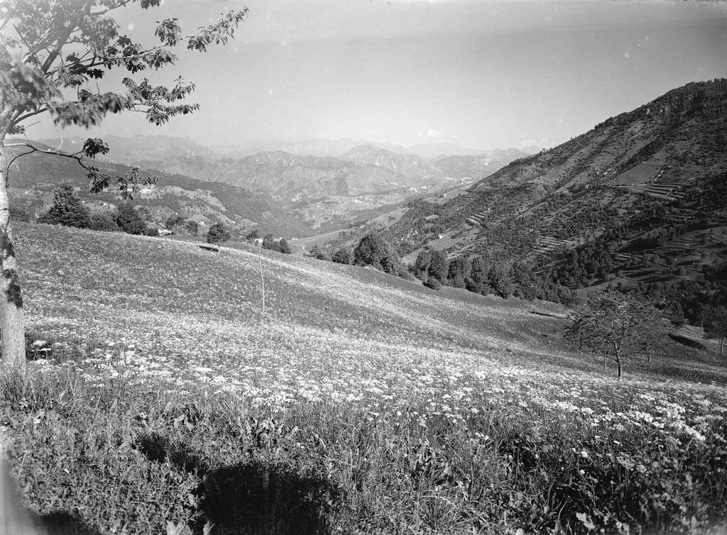 Campo Fiorito · Historify
