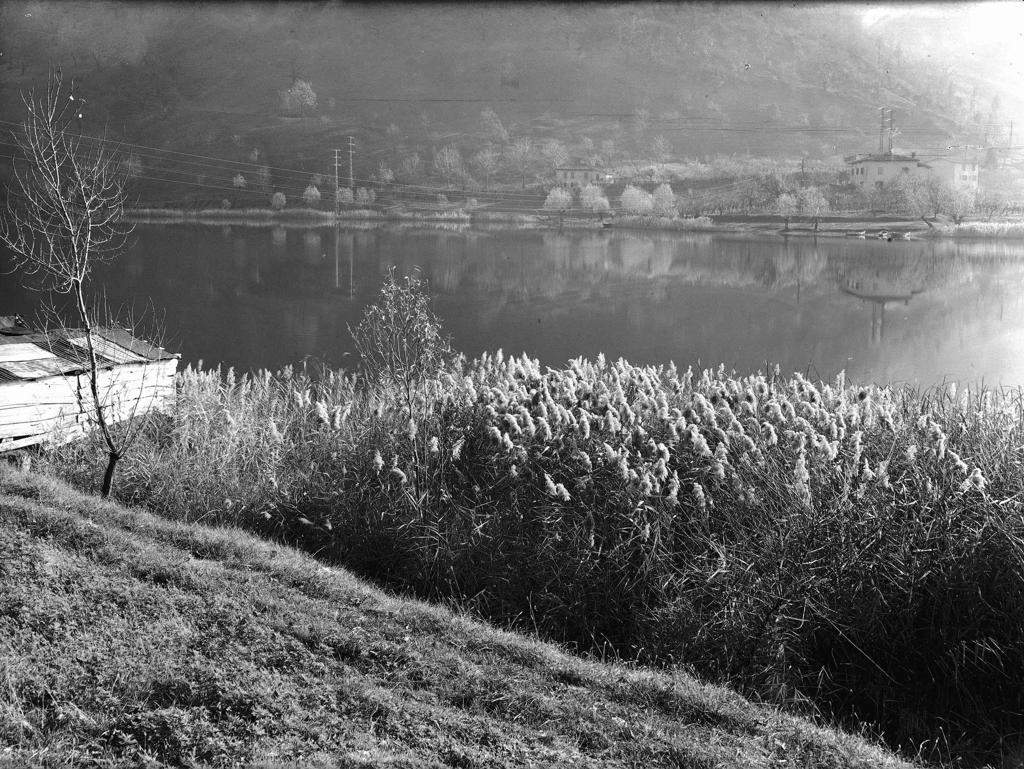 Lago · Historify