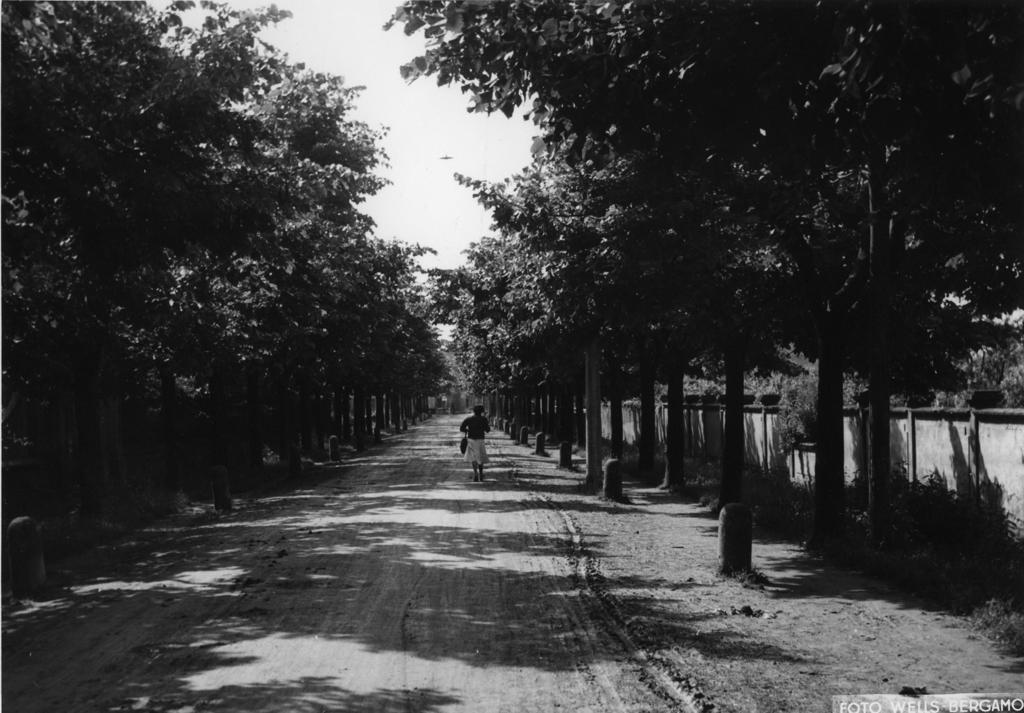 Viale a Martinengo · Historify