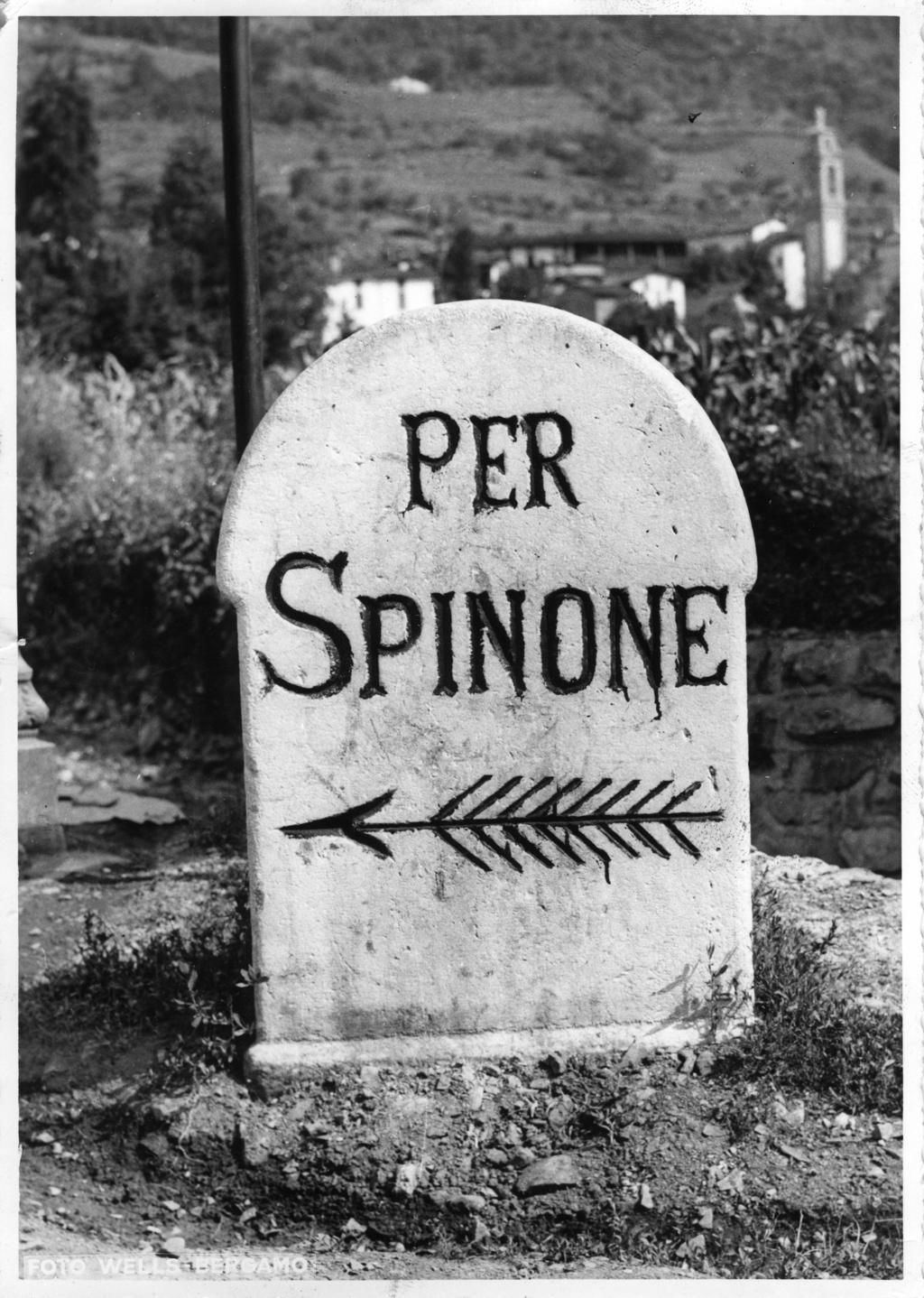Per Spinone · Historify