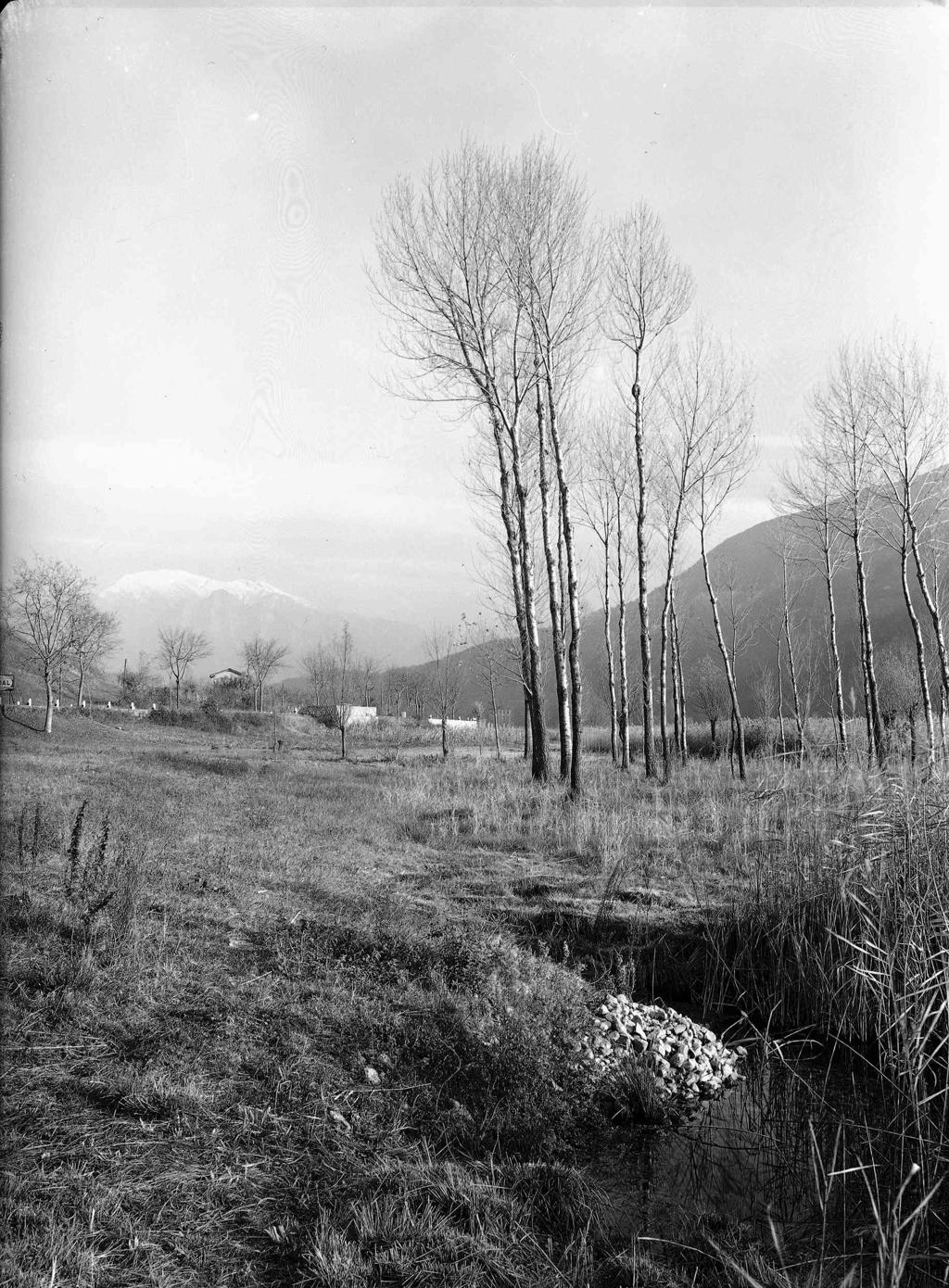 Paesaggio · Historify