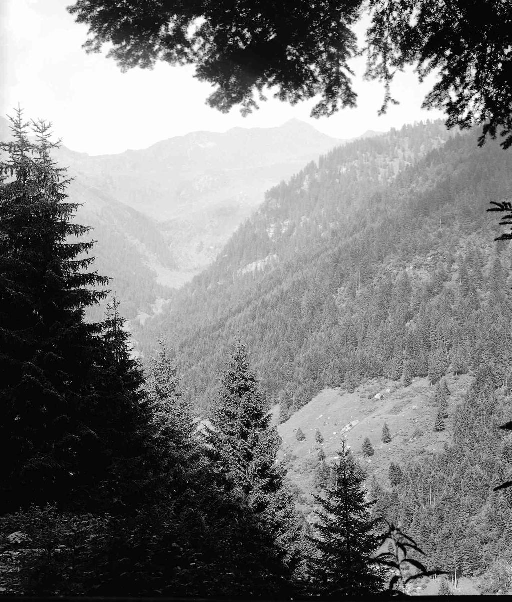 Montagne · Historify