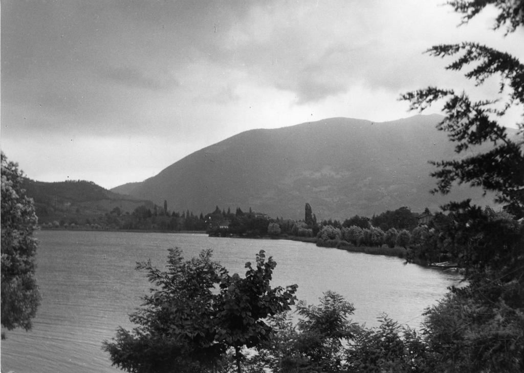 Vista Lago · Historify