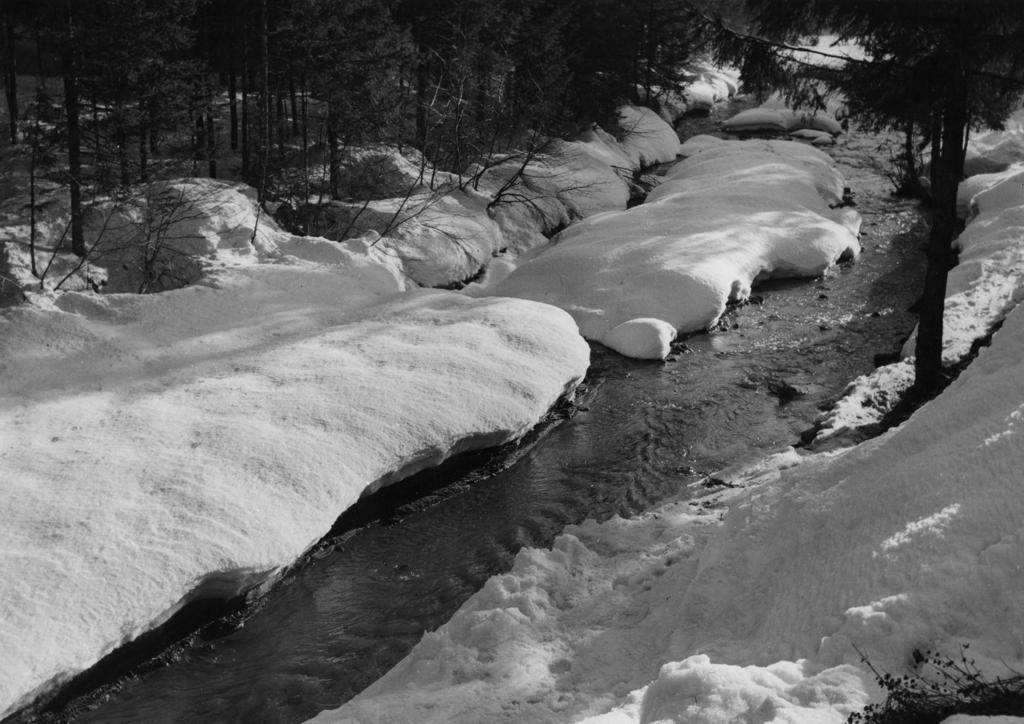 Ruscello Tra La Neve · Historify
