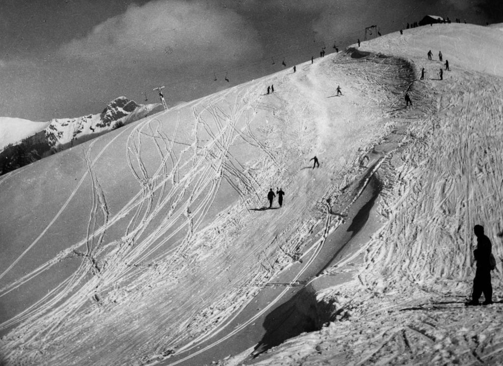 Piste Da Sci · Historify