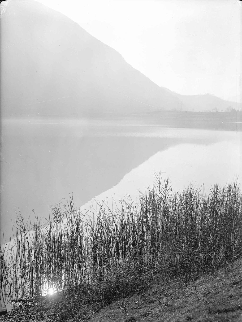 Canne In Riva Al Lago · Historify