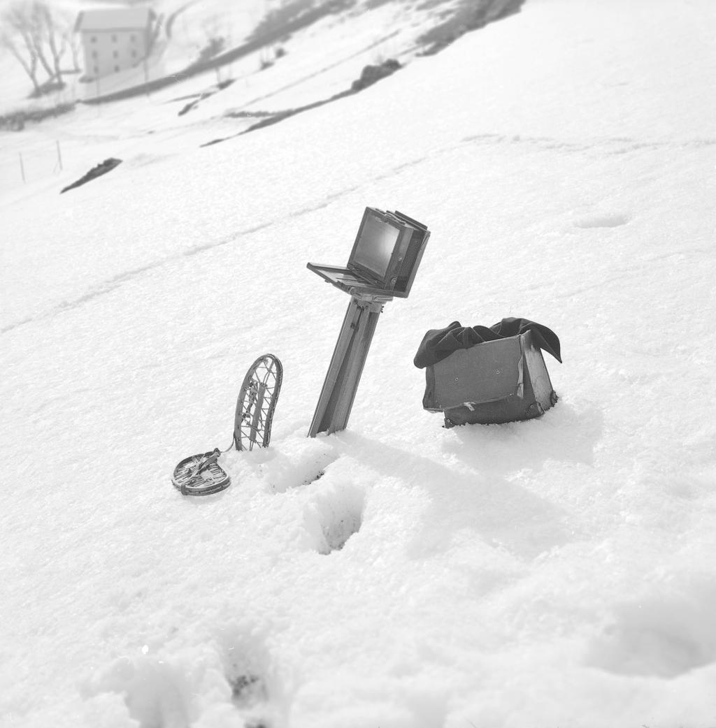 Oggetti nella neve · Historify
