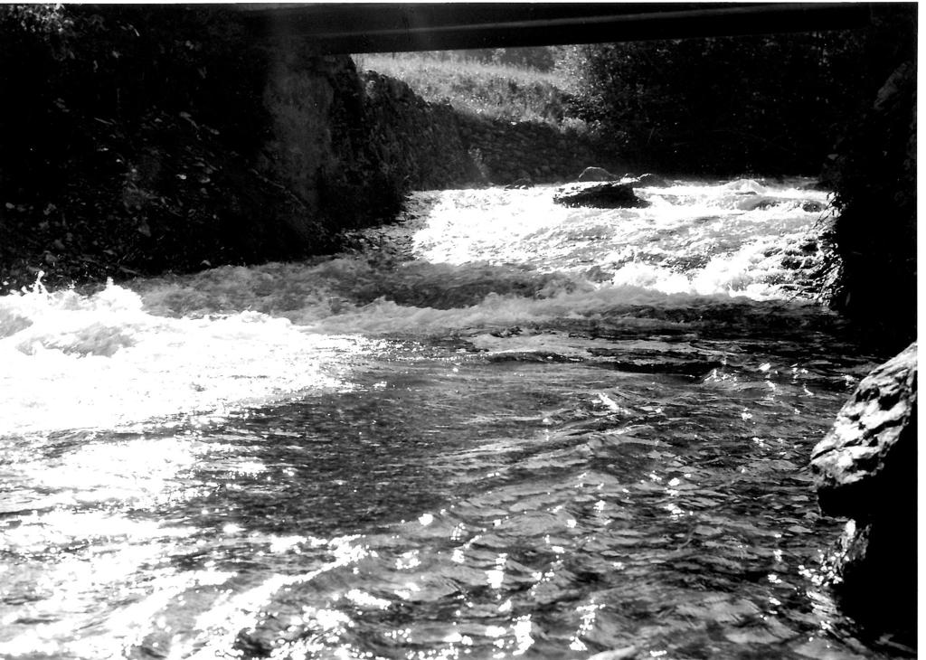 Fiume che scorre, Valbondione · Historify
