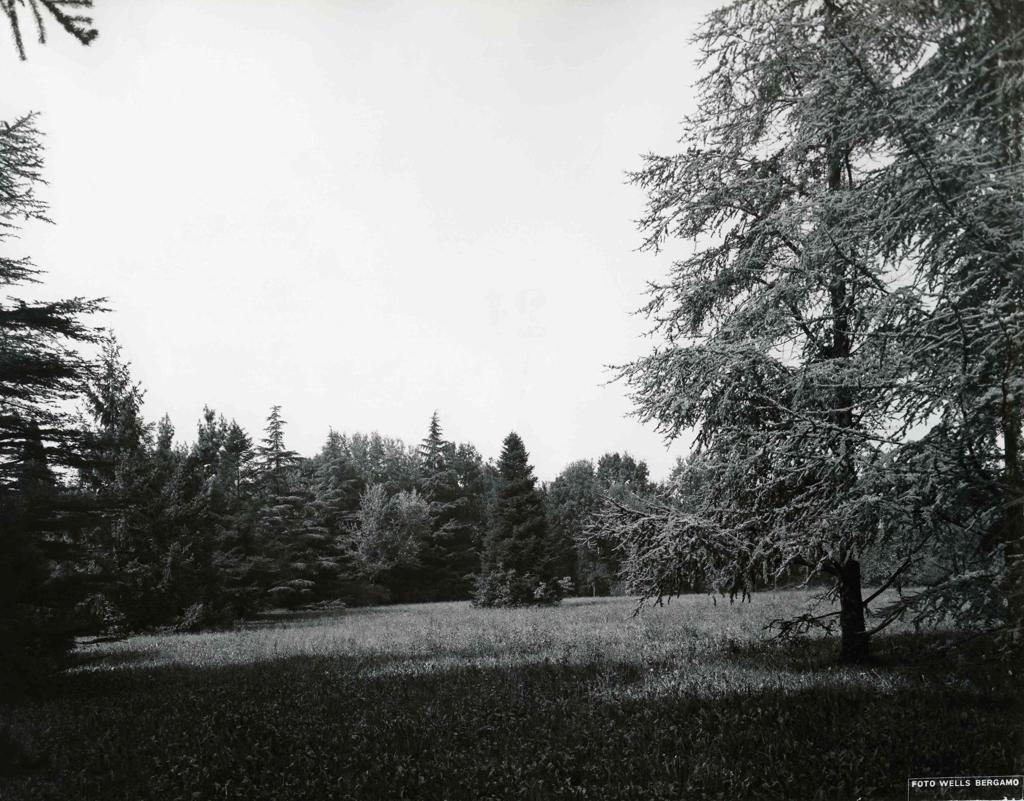 Parco A Villa Grismondi Finardi · Historify