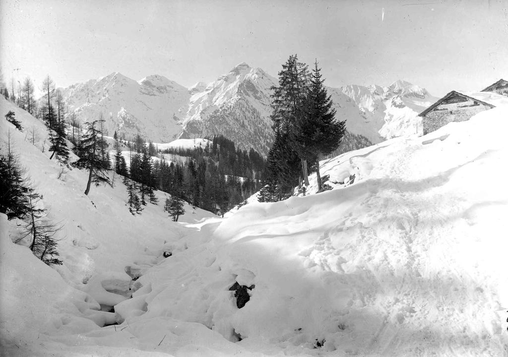Neve In Montagna · Historify