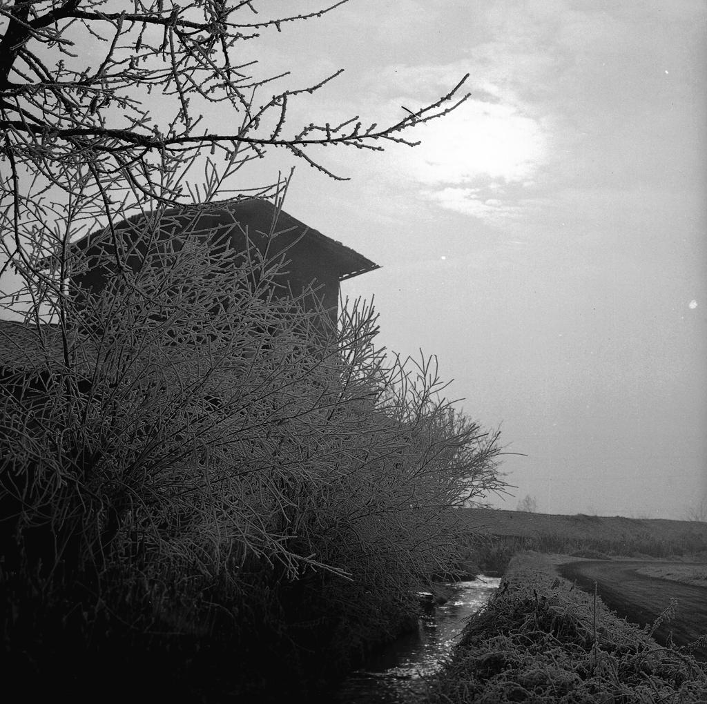 Paesaggio Invernale · Historify