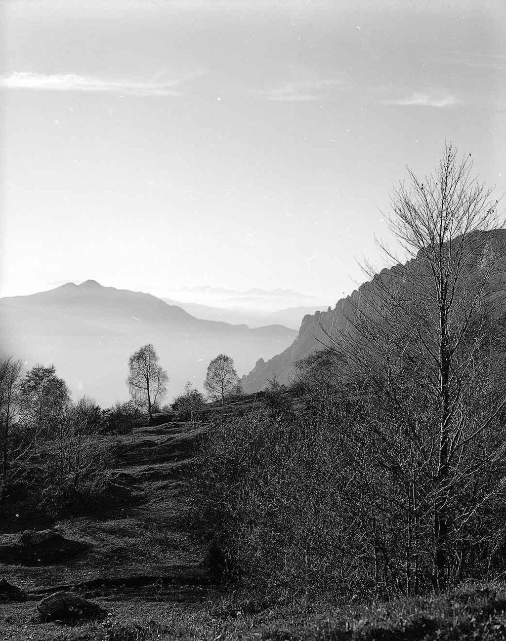 Paesaggio · Historify