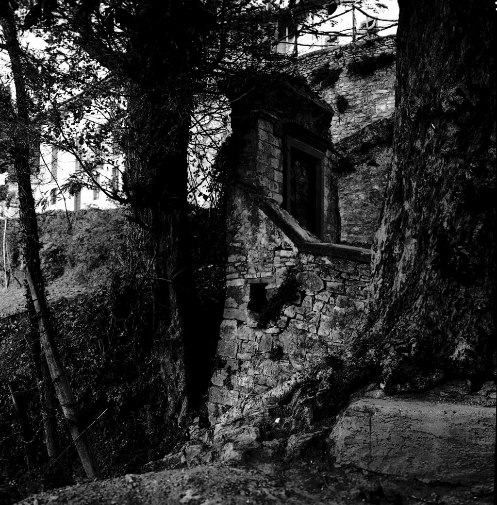 Casa tra la natura · Historify