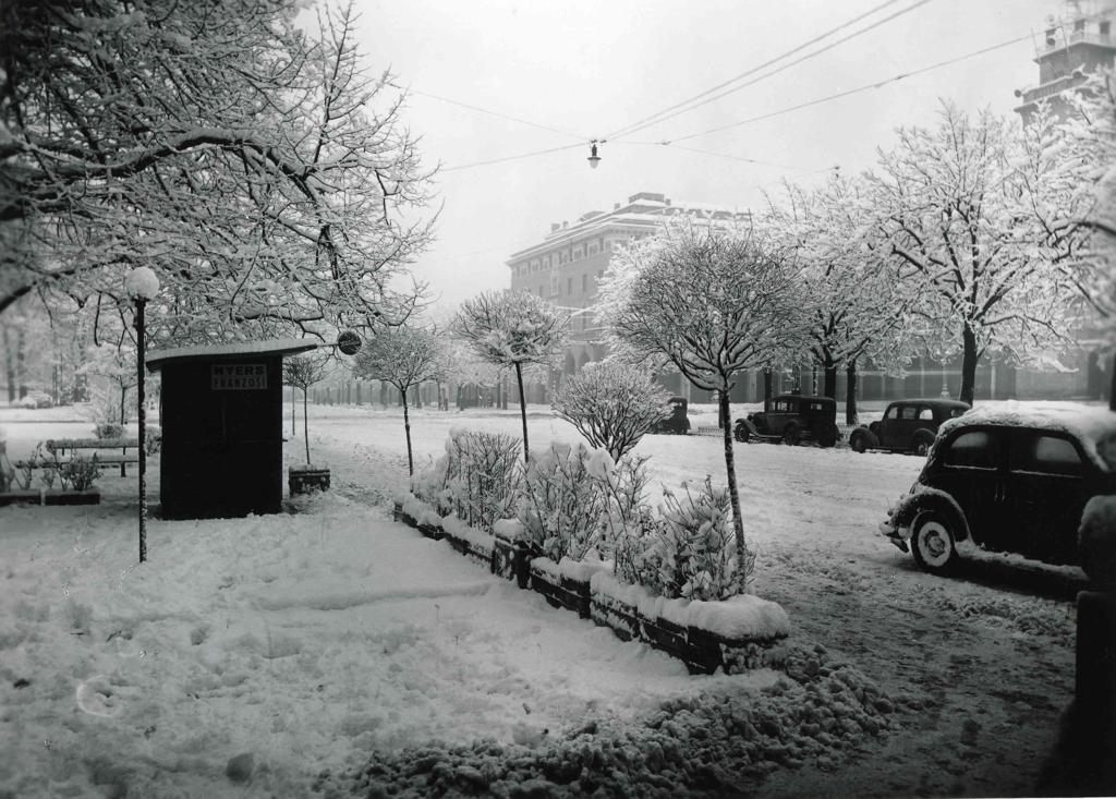 Vie Innevate · Historify