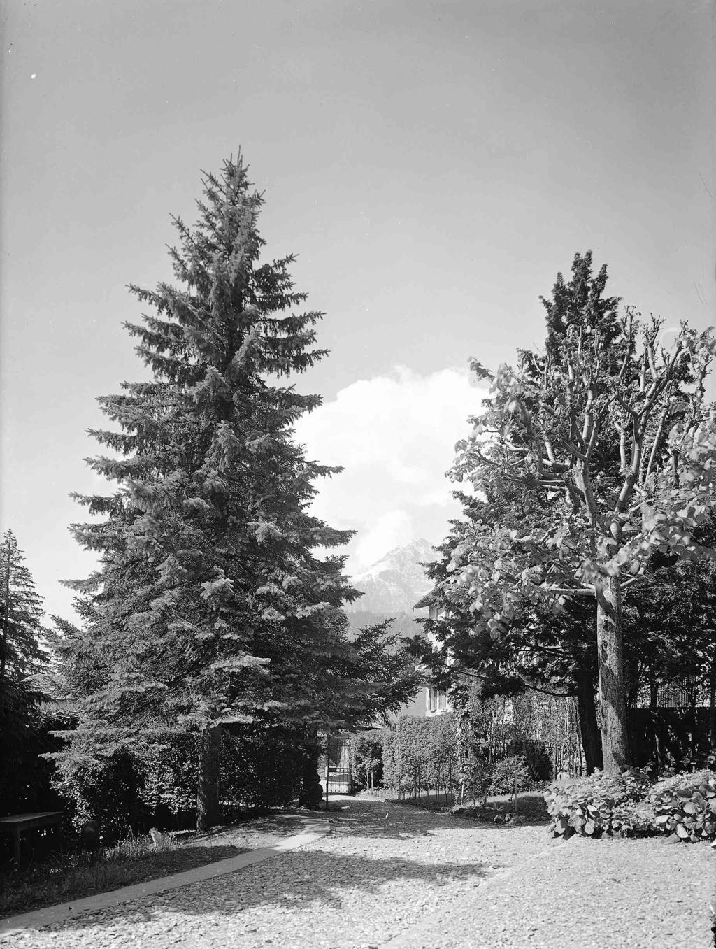 Viale · Historify