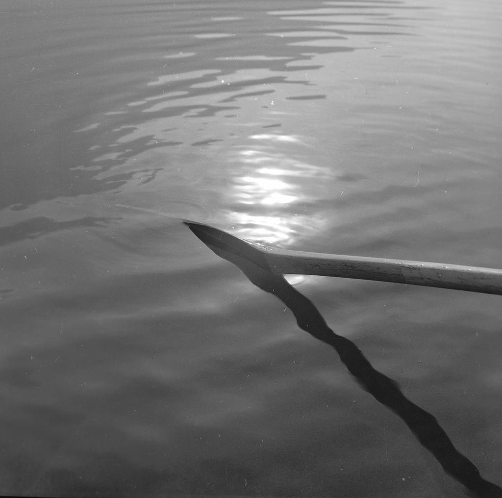 Remando sotto al sole · Historify