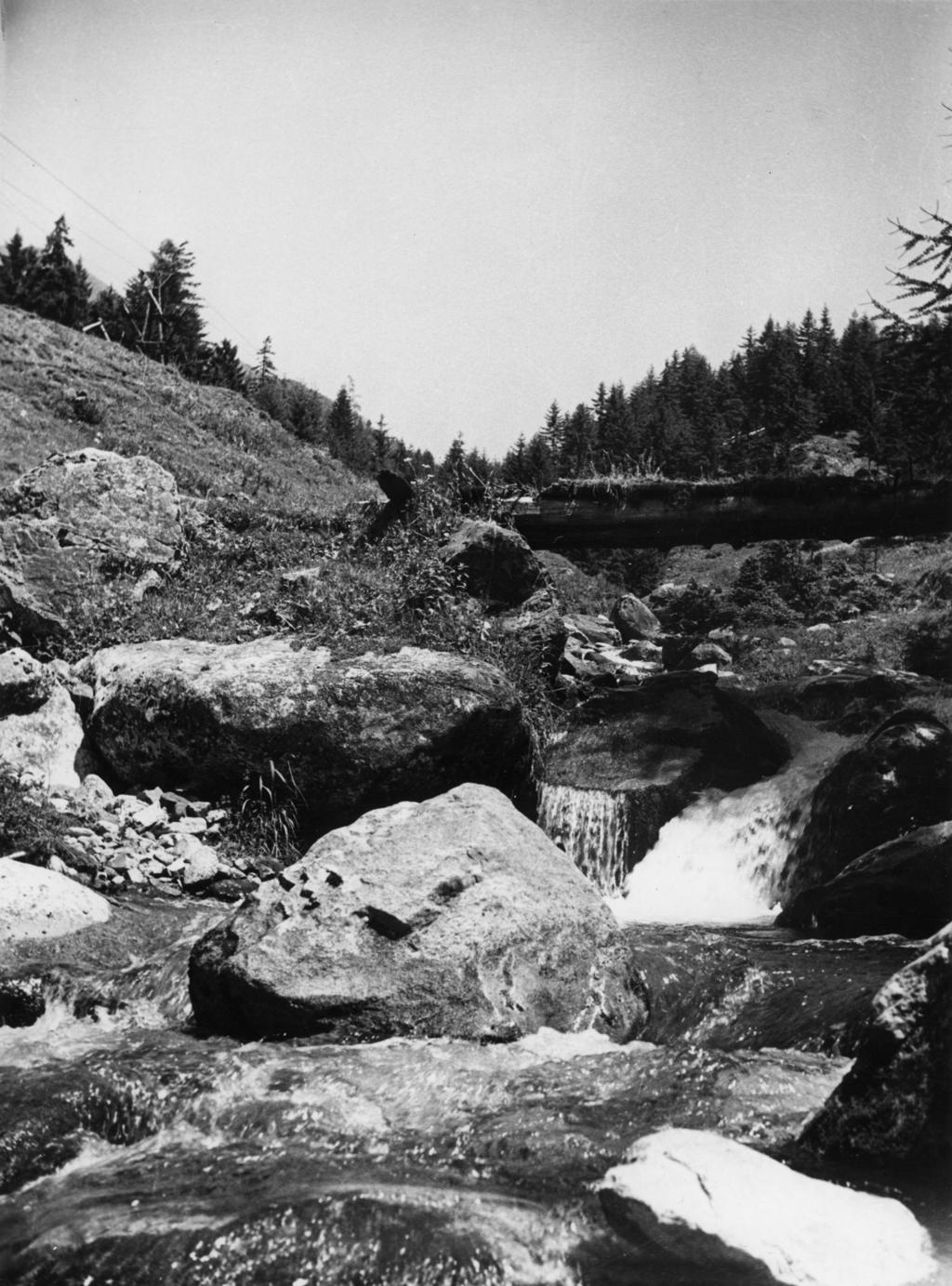 Torrente · Historify