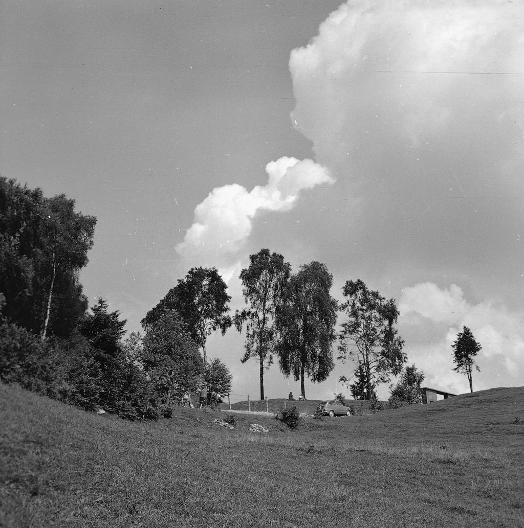 Parco Con Persone · Historify