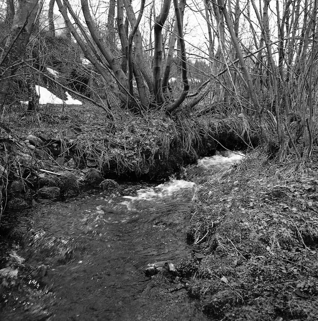 Ruscello In Corsa · Historify