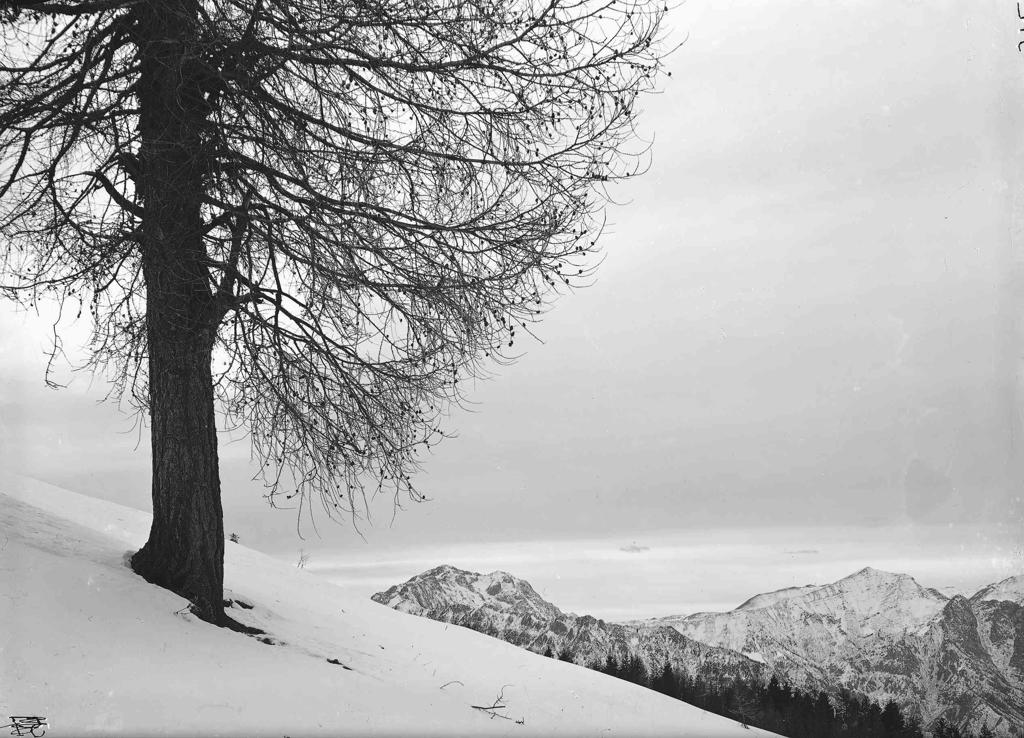 Paesaggio Innevato · Historify
