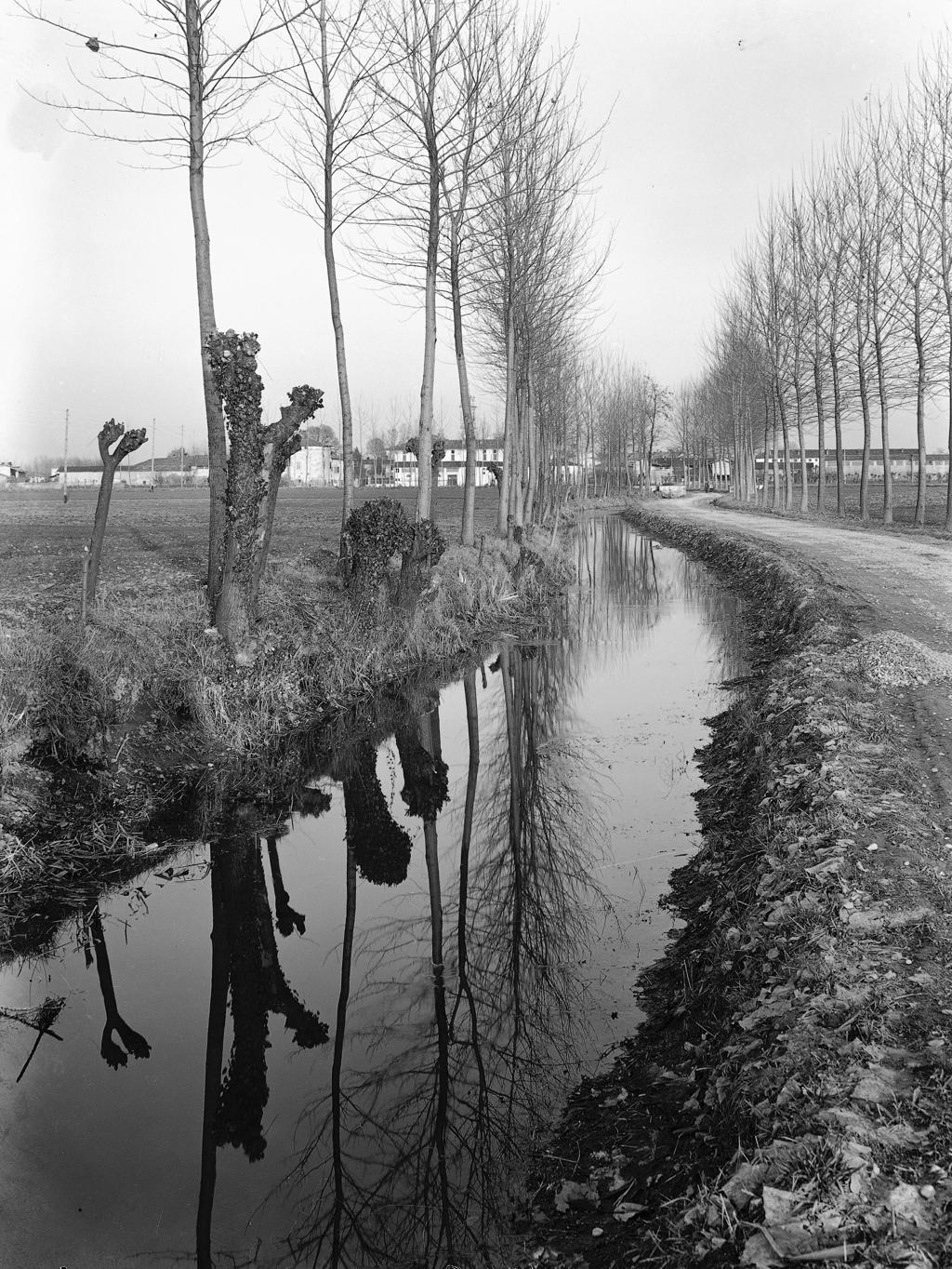 Fiume Con Alberi Riflessi · Historify