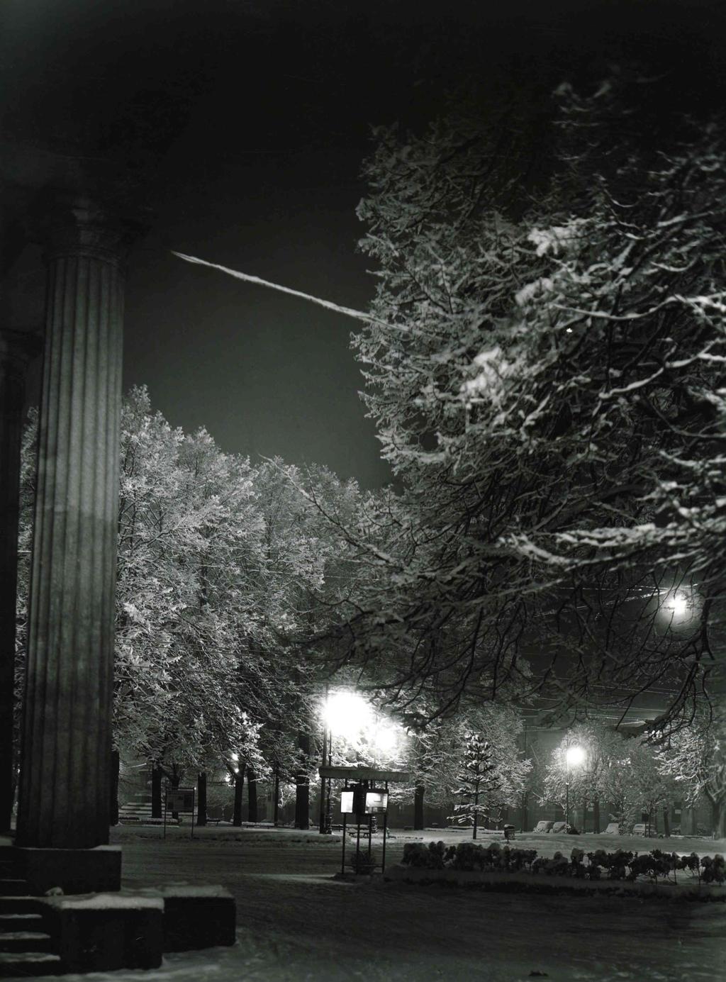 Alberi Innevati · Historify