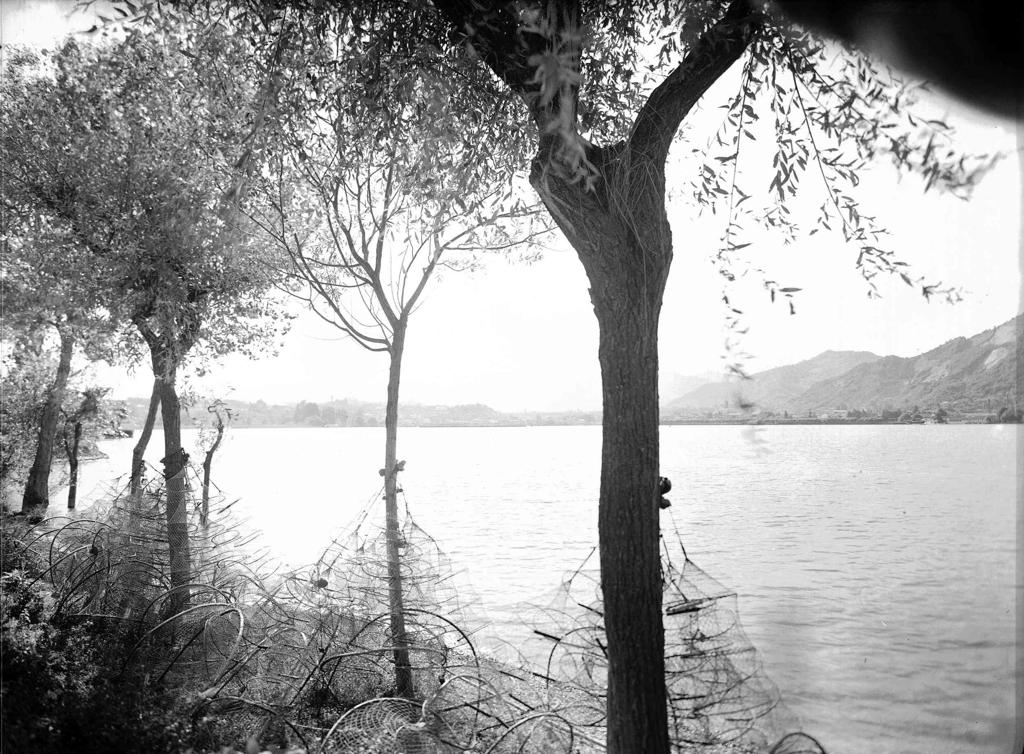 Reti Da Pesca · Historify