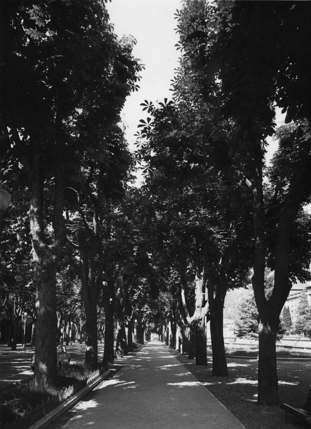 Viale Alberato, San Pellegrino Terme · Historify
