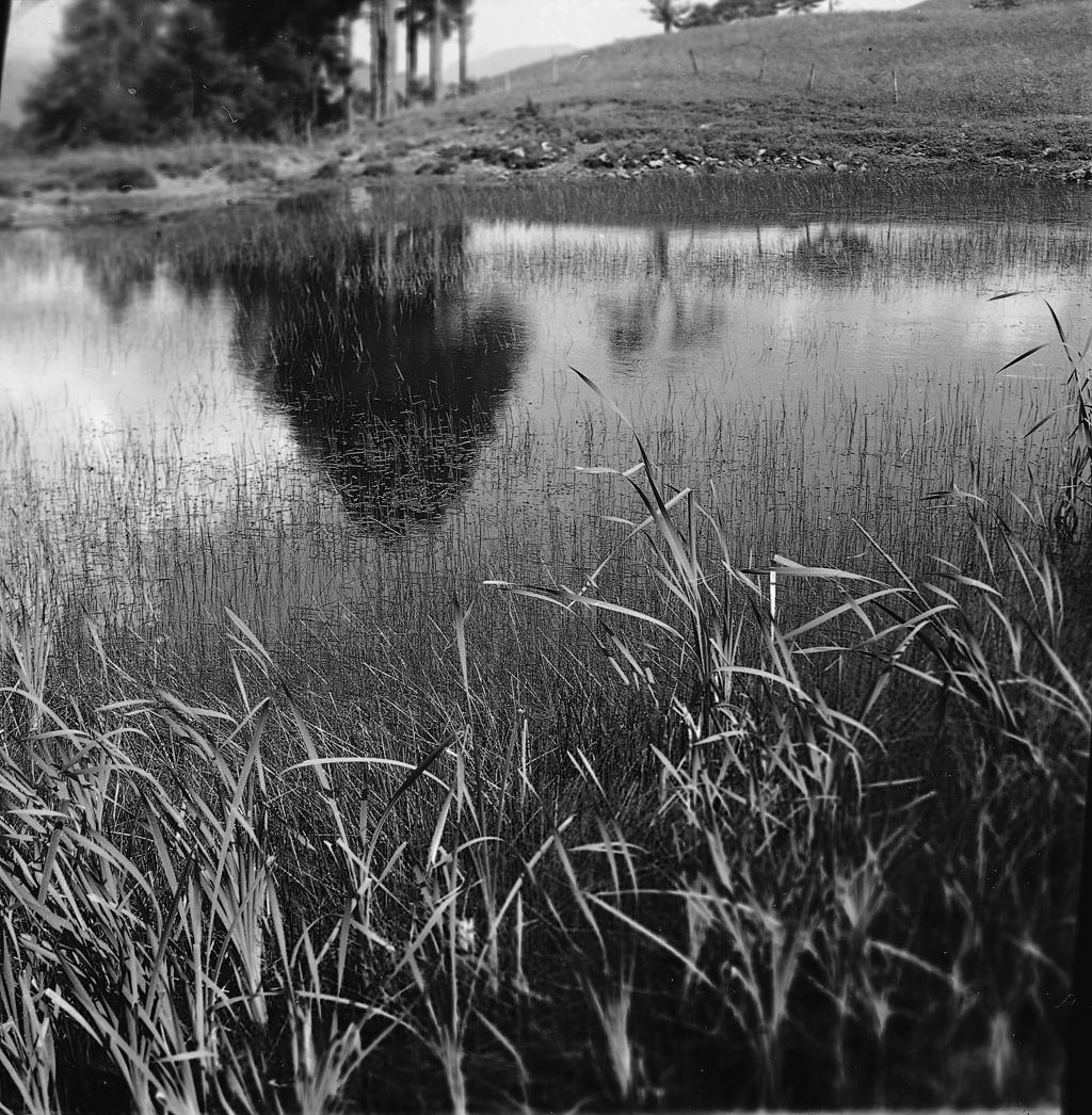 Lago, Canneto · Historify