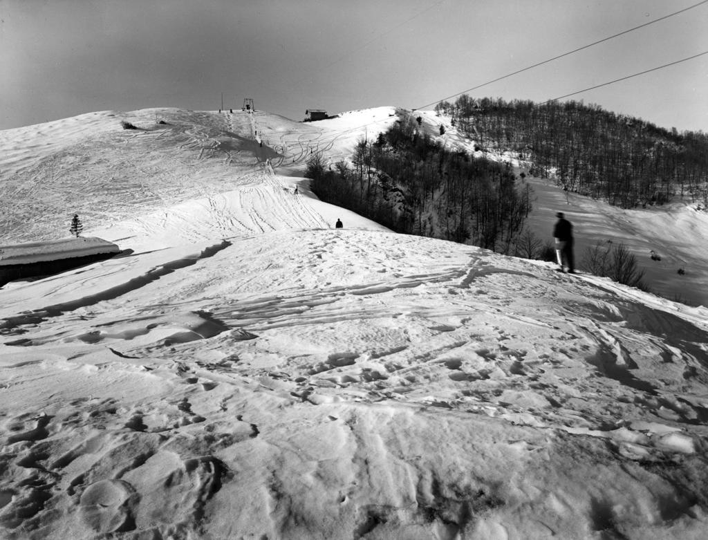 Piste da sci · Historify